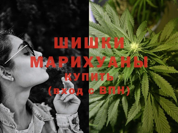 PSILOCYBIN Балабаново