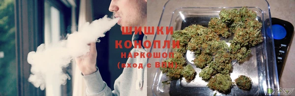 PSILOCYBIN Балабаново