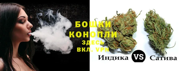PSILOCYBIN Балабаново