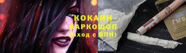 PSILOCYBIN Балабаново