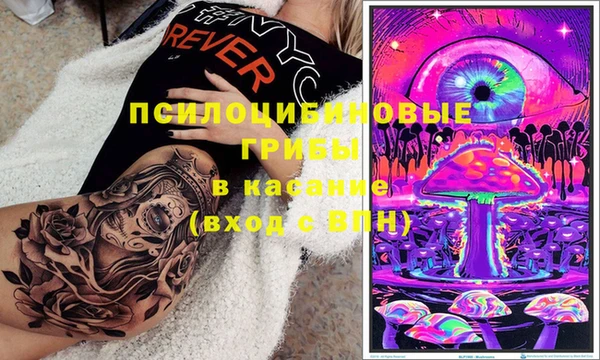 ECSTASY Баксан