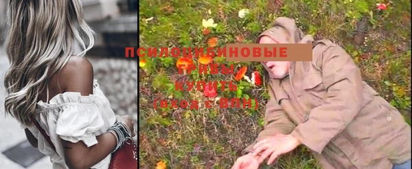 PSILOCYBIN Балабаново