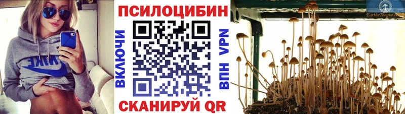 Галлюциногенные грибы мицелий  Калининец 